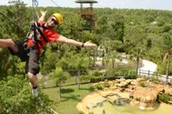 Orlando Gatorland Zipline Adventure 1.5 hr thumbnail 5