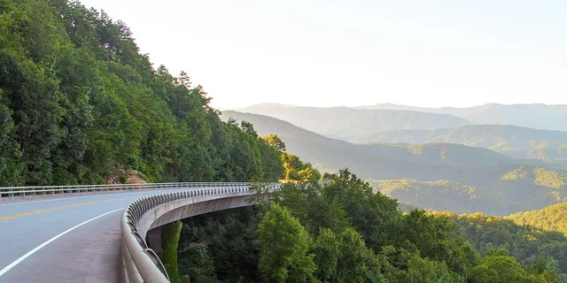 Pigeon Forge Smoky Mountains Guided Tour 6 hr - Image 3
