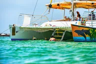 Panama City Beach Snorkel and Dolphin Tour thumbnail 1