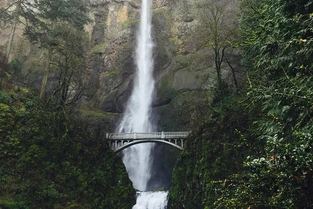 Portland Columbia River Gorge and Mt Hood Tour - Image 4