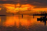 Naples Sunset Kayak Tour thumbnail 2