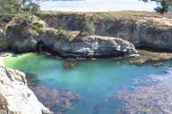 Point Lobos Nature Walk 2 hr thumbnail 1