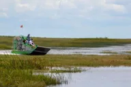 Miami Everglades Airboat Ride 60 Min thumbnail 6