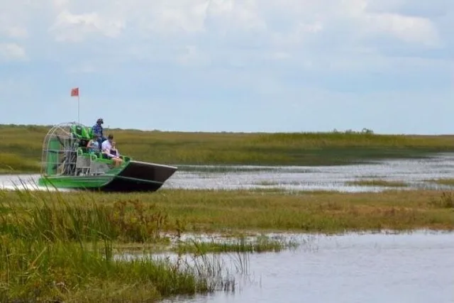 Miami Everglades Airboat Ride 60 Min - Image 6