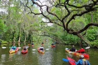 Tavares Kayak or Paddleboard Rental on Dora Canal thumbnail 1