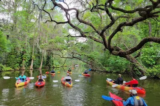 Tavares Kayak or Paddleboard Rental on Dora Canal