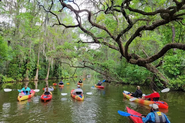 Tavares Kayak or Paddleboard Rental on Dora Canal - Image 1