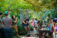 Dallas Discovery Gardens Admission thumbnail 1