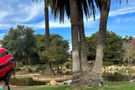 Santa Barbara Taco Tour on E-Bikes thumbnail 3