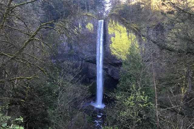 Portland Columbia River Gorge and Mt Hood Day Tour - Image 4