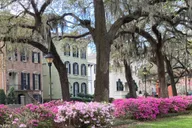 Savannah Walking Tour of Highlights and Hidden Gems 2 hr thumbnail 1