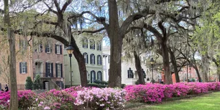 Savannah Walking Tour of Highlights and Hidden Gems 2 hr