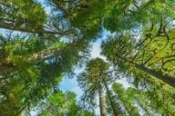 Seattle Olympic National Park Day Tour thumbnail 4