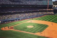 Los Angeles Dodgers Game with Japanese Concierge thumbnail 1