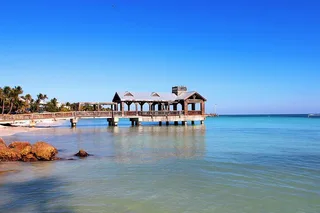 Miami to Key West Snorkeling Tour with Meal