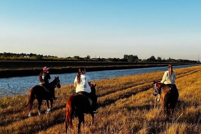 Miami Horseback Riding - Image 1