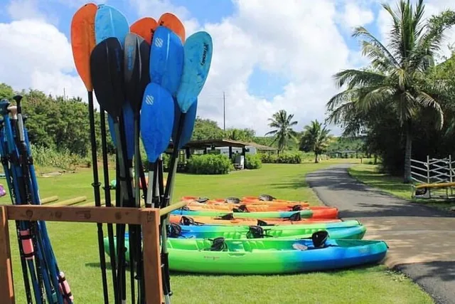 Oahu Anahulu River Kayak and SUP Adventure - Image 5