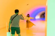Houston Museum of Fine Arts Admission Ticket thumbnail 1