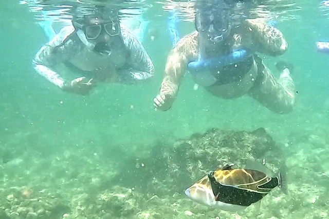 Waikiki Snorkeling Tour with Free Video & Pics 1 hr - Image 4