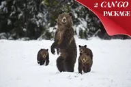 Yellowstone and Grand Teton Winter Tour 5-Day thumbnail 1
