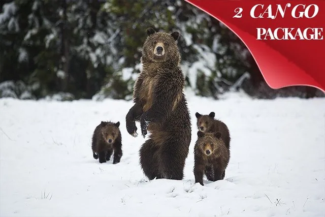 Yellowstone and Grand Teton Winter Tour 5-Day - Image 1