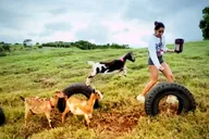 Kauai Farm Animal Experience and Micro Dairy Immersion thumbnail 4
