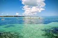 Key West Private Boat Tour with Captain thumbnail 1