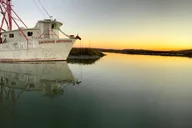 Charleston Dolphin Cruise BYOB 1.5 hr thumbnail 1