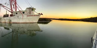 Charleston Dolphin Cruise BYOB 1.5 hr
