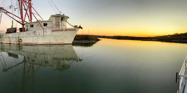 Charleston Dolphin Cruise BYOB 1.5 hr - Image 1