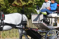 New York Central Park Horse Carriage Holiday Tour thumbnail 2