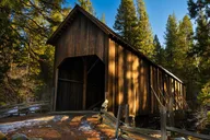 Oakhurst Mariposa Grove and Wawona Tour thumbnail 5
