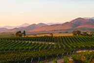 Santa Ynez Cupcake & Wine Tour thumbnail 3