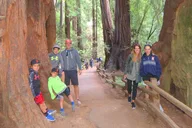 San Francisco Alcatraz and Muir Woods Private Tour thumbnail 1