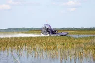 Everglades National Park Self-Guided Audio Tour thumbnail 3