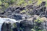 Maui Road to Hana Tour with Pickup and Lunch thumbnail 5