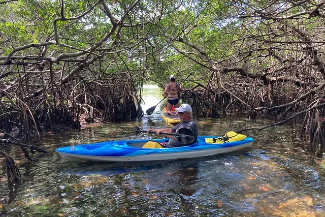 St. Petersburg Kayak Rental to John's Pass Sandbar - Image 3