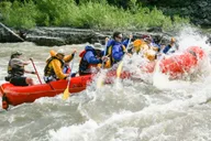 Jackson Snake River Whitewater Rafting Tour thumbnail 5