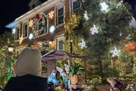New York City Holiday Lights Tour thumbnail 5