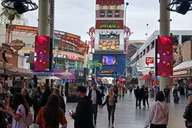 Las Vegas Fremont Street Walking Tour thumbnail 3