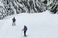 Crystal Mountain Snowshoeing Tour thumbnail 4