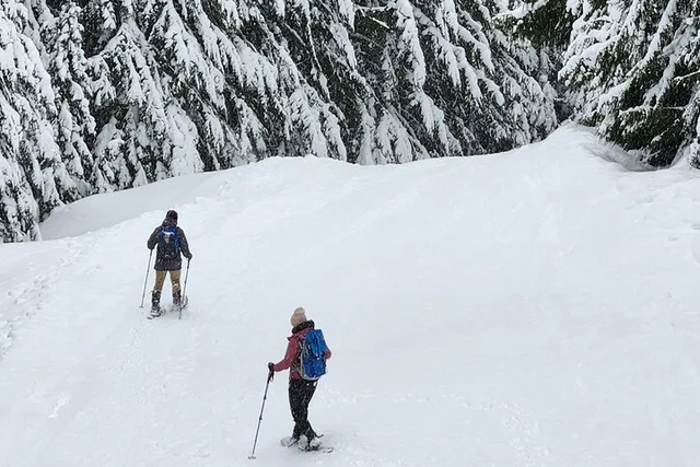 Crystal Mountain Snowshoeing Tour - Image 4