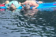 Crystal River Kayak with Manatee Viewing at Sunset thumbnail 5