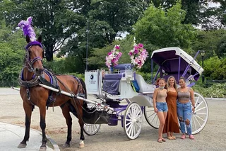 NYC Central Park Horse Carriage Ride