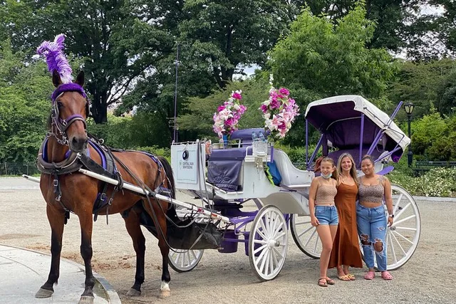 NYC Central Park Horse Carriage Ride - Image 1