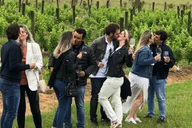 San Francisco Napa Valley Wine Tour with Tastings thumbnail 1