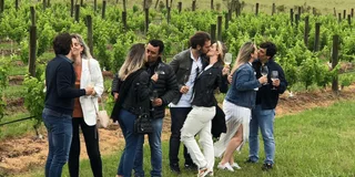 San Francisco Napa Valley Wine Tour with Tastings