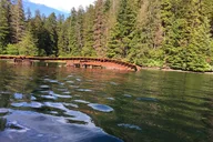 Sitka Whale Watching and Marine Wildlife Tour thumbnail 4