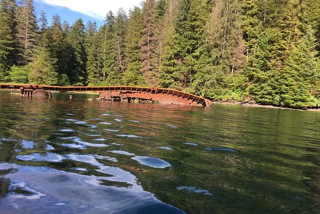 Sitka Whale Watching and Marine Wildlife Tour - Image 4