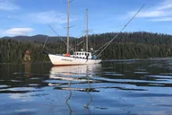 Sitka Whale Watching and Hot Springs Tour thumbnail 3